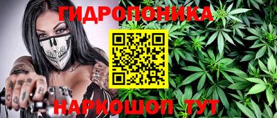 индика Среднеуральск