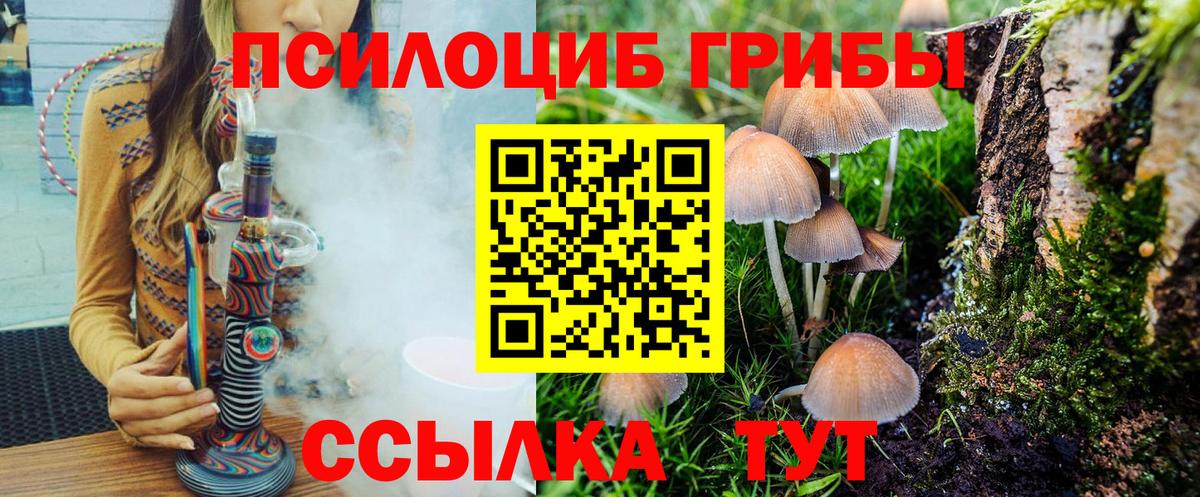 наркота  Вход с VPN  Кунгур  Галлюциногенные грибы прущие грибы 
